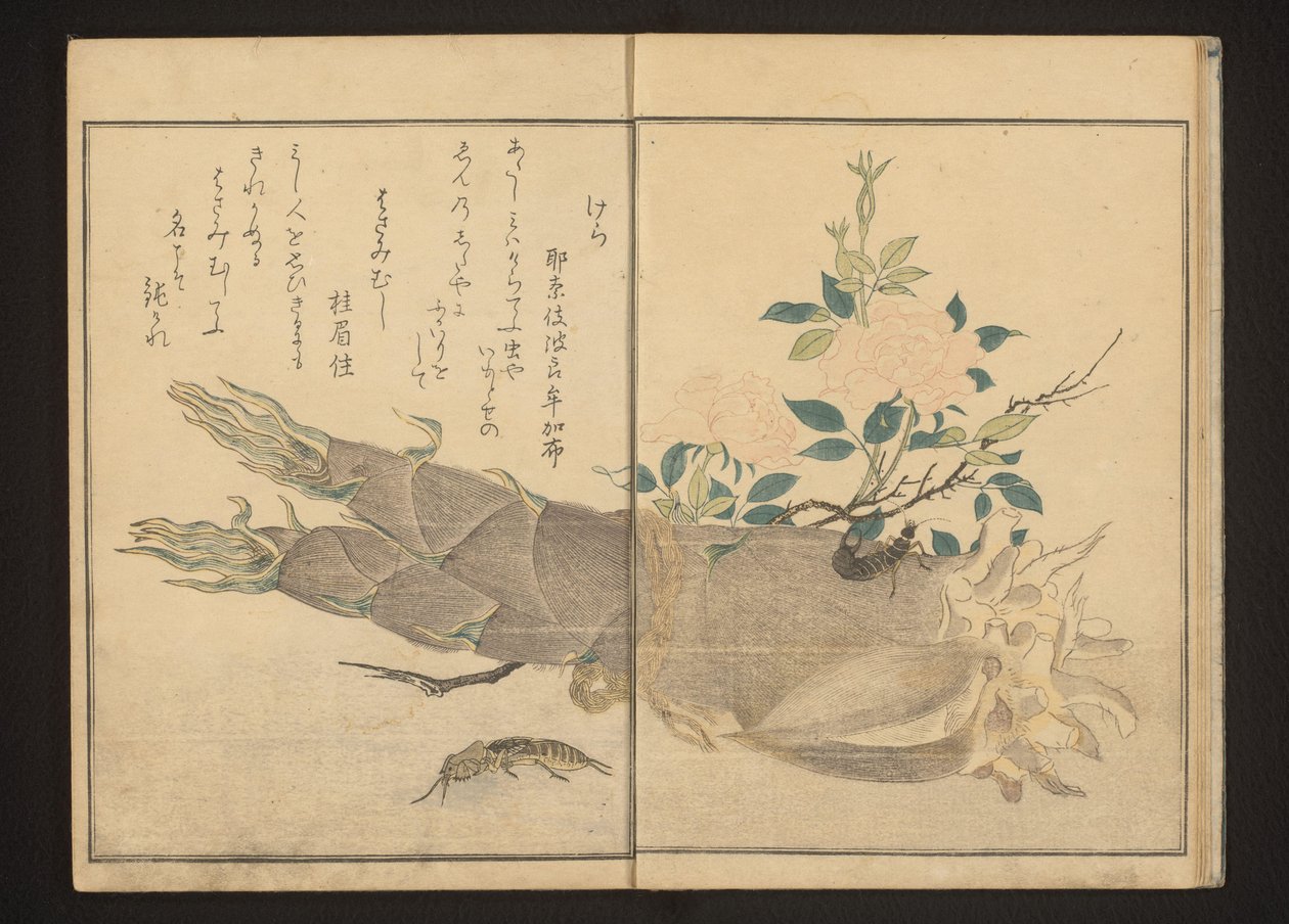 Grillo topo y tijereta en un brote de bambú de Kitagawa Utamaro