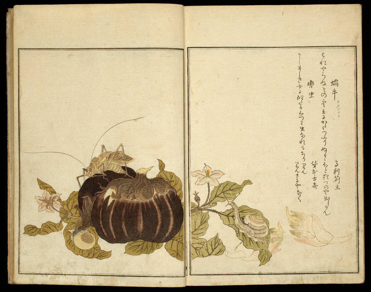 Libro ilustrado: Insectos selectos (Ehon mushi erabi) de Kitagawa Utamaro