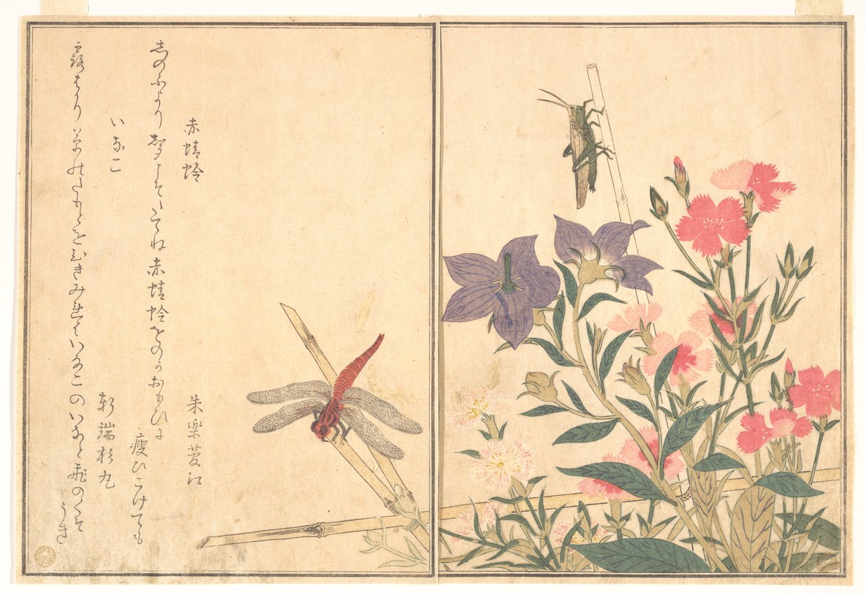 Libélula roja (Akatonbo); langosta (Inago), del libro ilustrado «Criaturas que se arrastran» (Ehon mushi erami) de Kitagawa Utamaro
