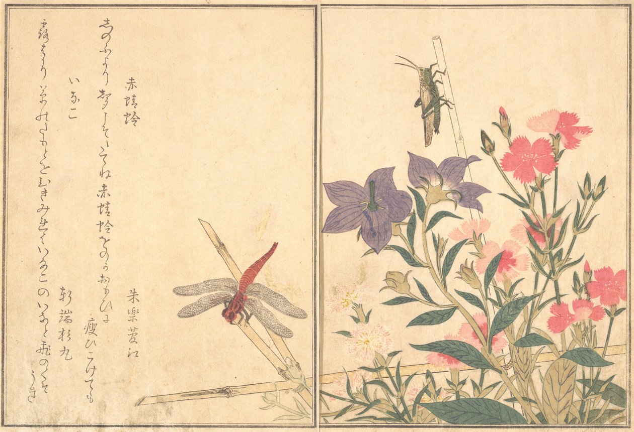 Libélula roja Akatonbo, langosta Inago..., 1788 de Kitagawa Utamaro