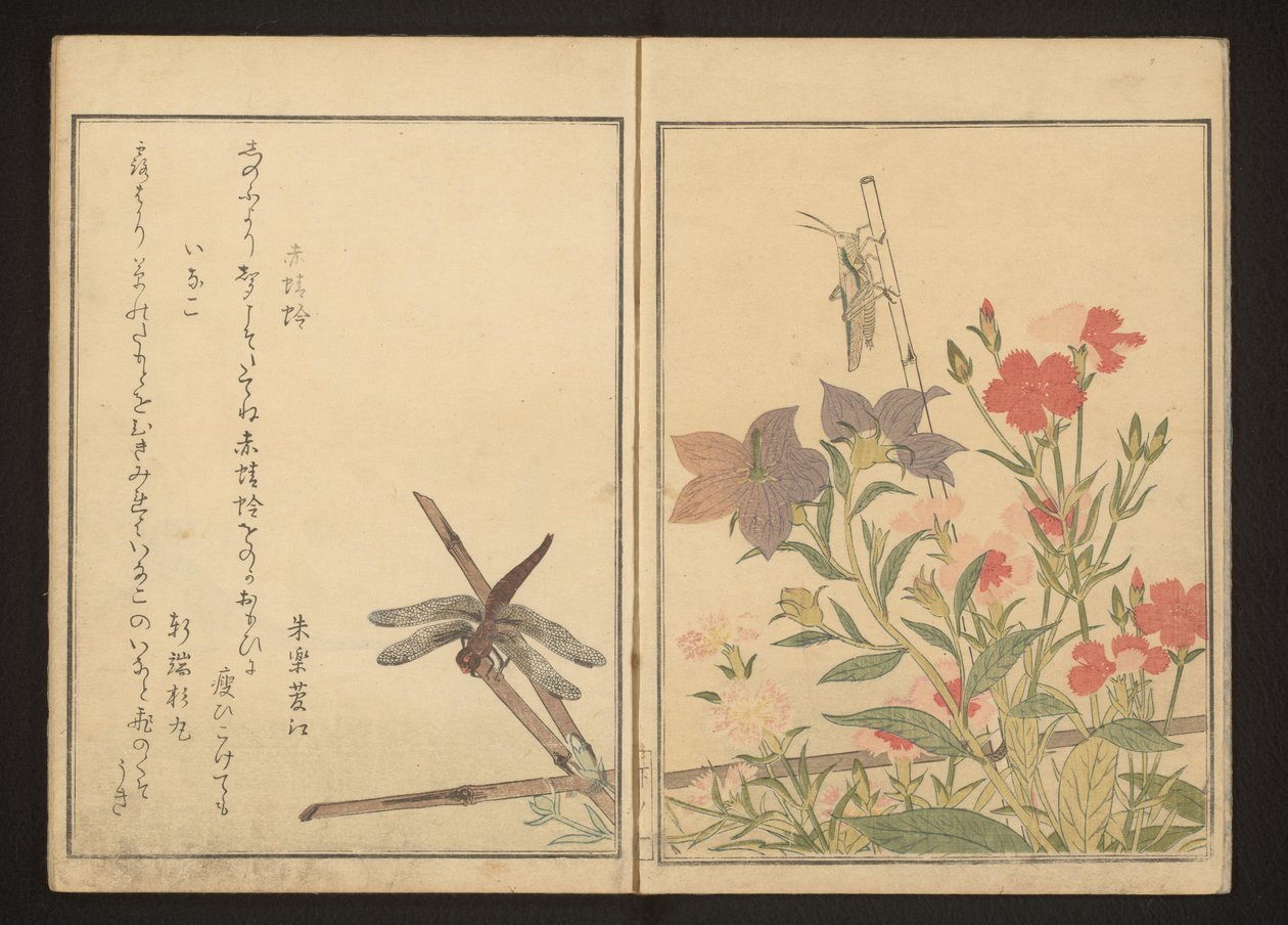 Libélula roja y langostas por las rosas de Kitagawa Utamaro