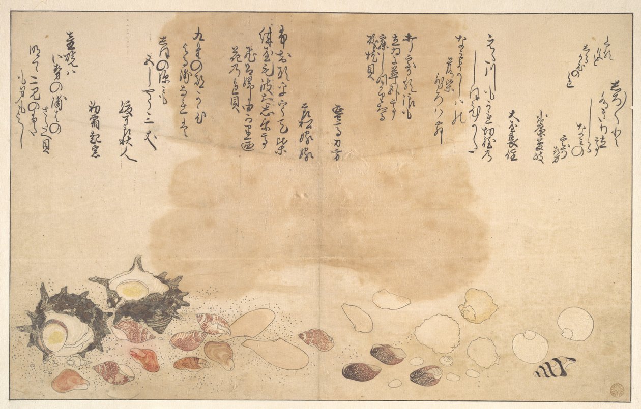 Conchas bajo el agua de Kitagawa Utamaro