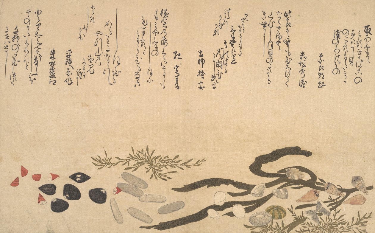 Conchas bajo el agua, 1790 de Kitagawa Utamaro