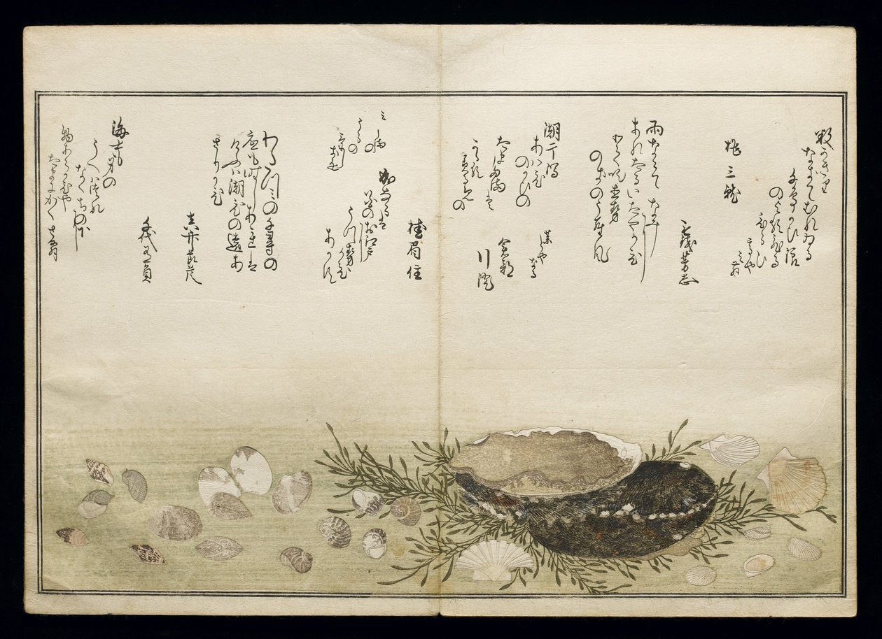 Shiohi no tsuto (Regalos de la Marea Baja), conocido como el Libro de las Conchas, 1789 de Kitagawa Utamaro