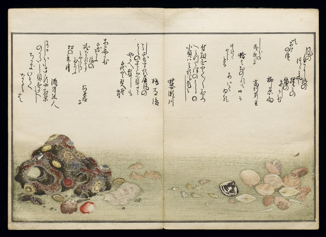 Shiohi no tsuto (Regalos de la Marea Baja), conocido como el Libro de las Conchas, 1789 de Kitagawa Utamaro