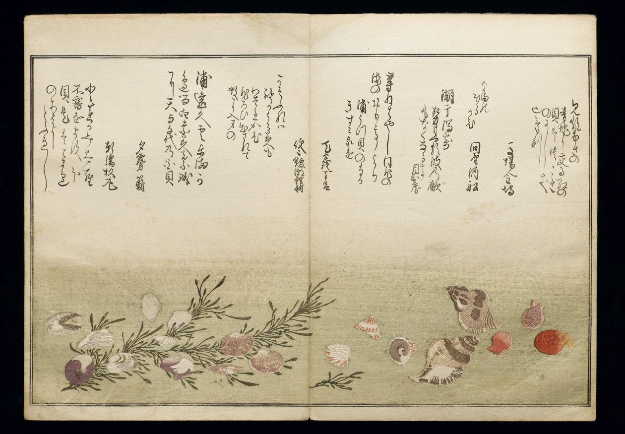 Shiohi no tsuto (Regalos de la Marea Baja), conocido como el Libro de las Conchas, 1789 de Kitagawa Utamaro