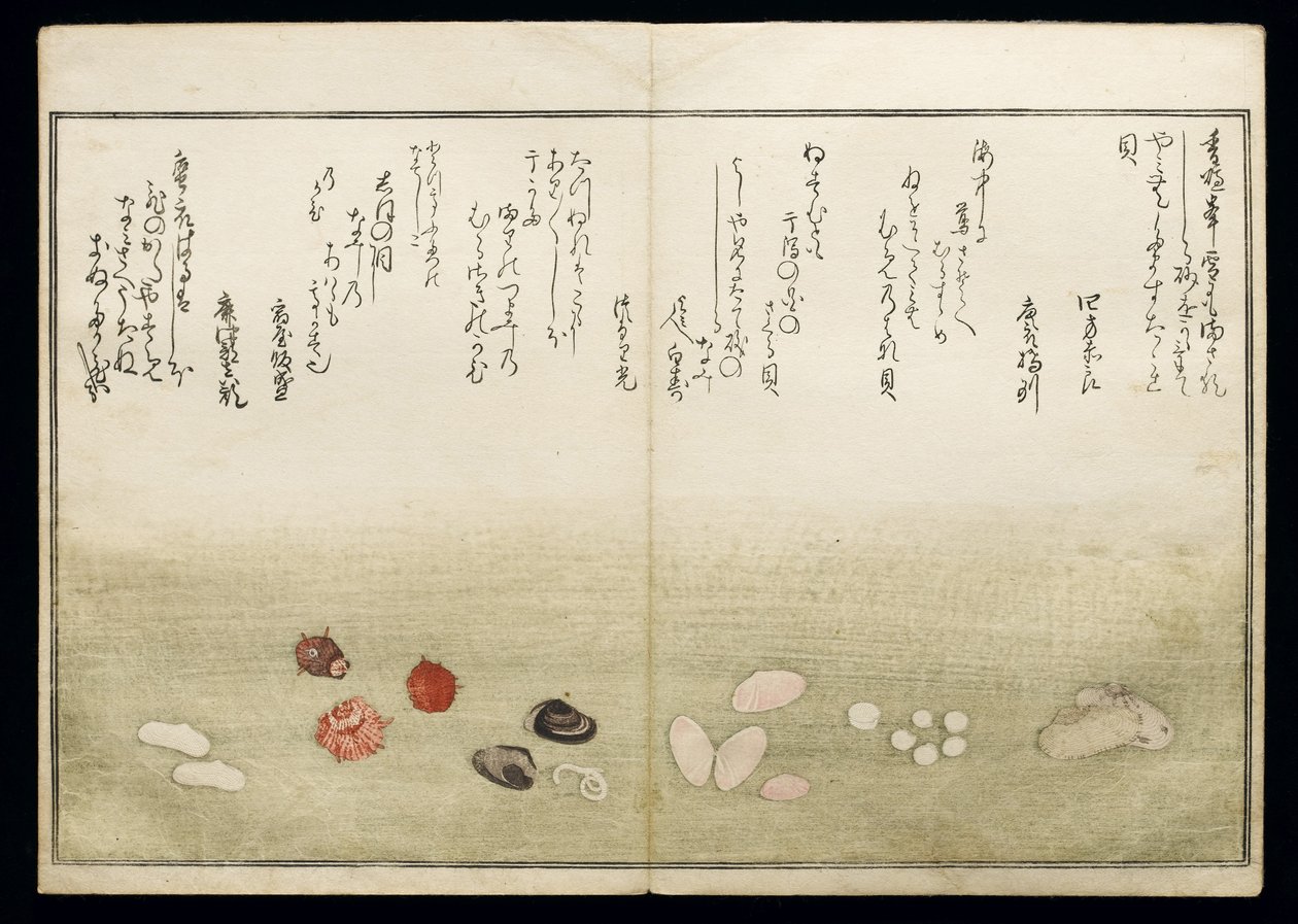 Shiohi no tsuto (Regalos de la Marea Baja), conocido como el Libro de las Conchas, 1789 de Kitagawa Utamaro