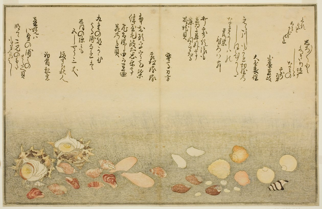 Shiro-gai, namima-gashiwa, makura-gai, iro-gai, aza-gai, sadae-gai, del libro ilustrado "Regalos de la Marea Baja (Shiohi no tsuto)" de Kitagawa Utamaro