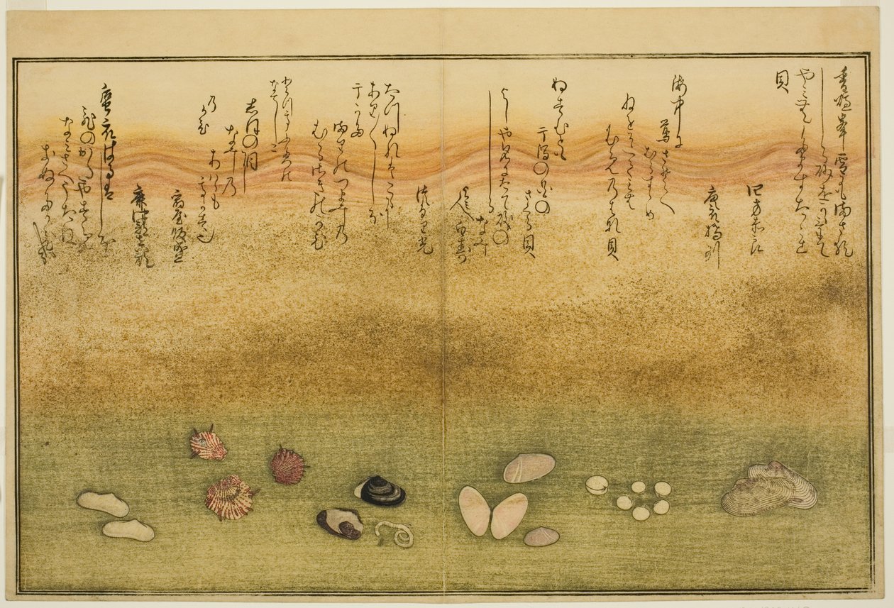Sudare-gai, hana-gai, sakura-gai, mumeno-gai, nadeshiko-gai, y kinuta-gai, del libro ilustrado "Regalos de la marea baja (Shiohi no tsuto)" de Kitagawa Utamaro