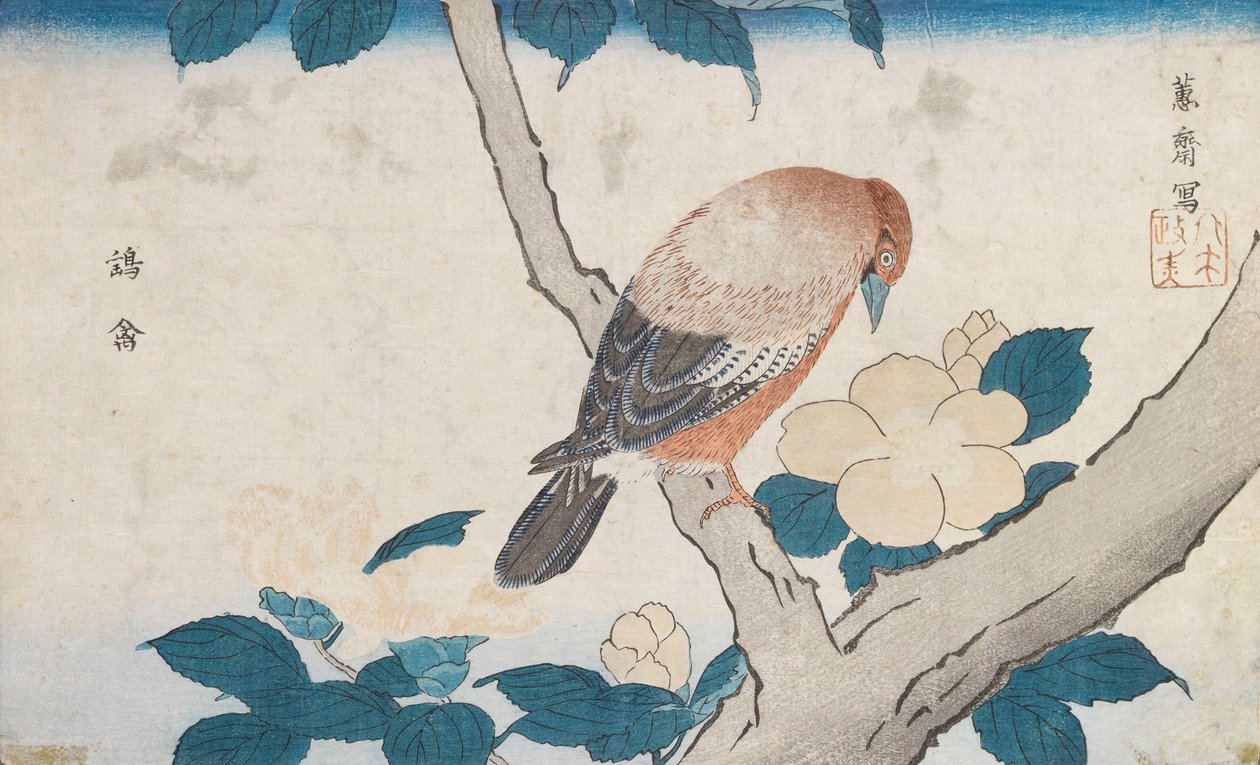 Sin título de Kitao Masayoshi