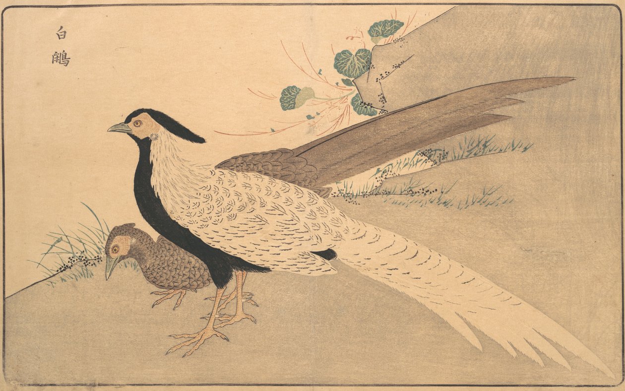 Bai xian de Kitao Masayoshi