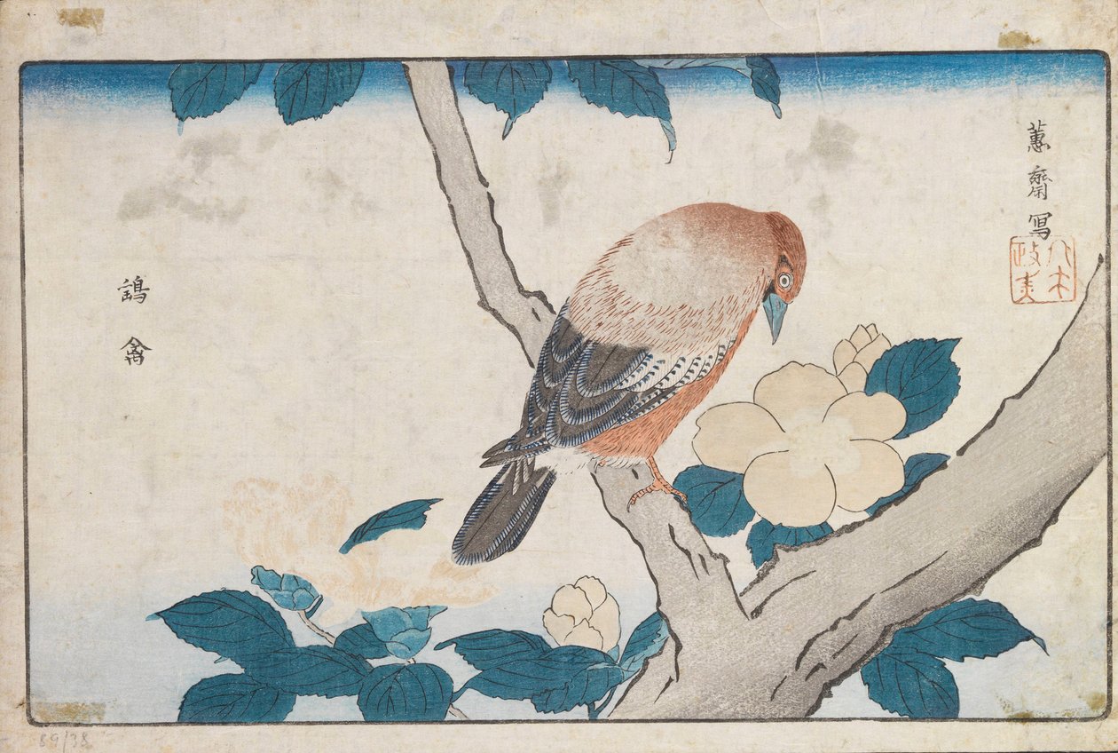 Sin título de Kitao Masayoshi
