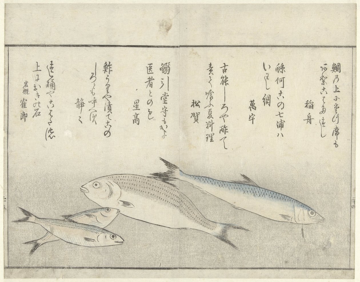 cuatro peces de Kitao Masayoshi