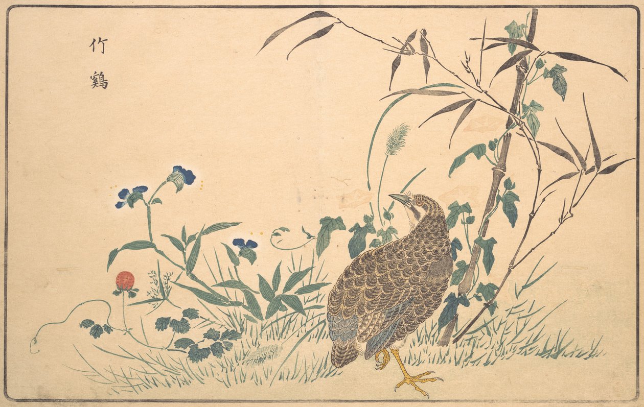 Zhu ji de Kitao Masayoshi