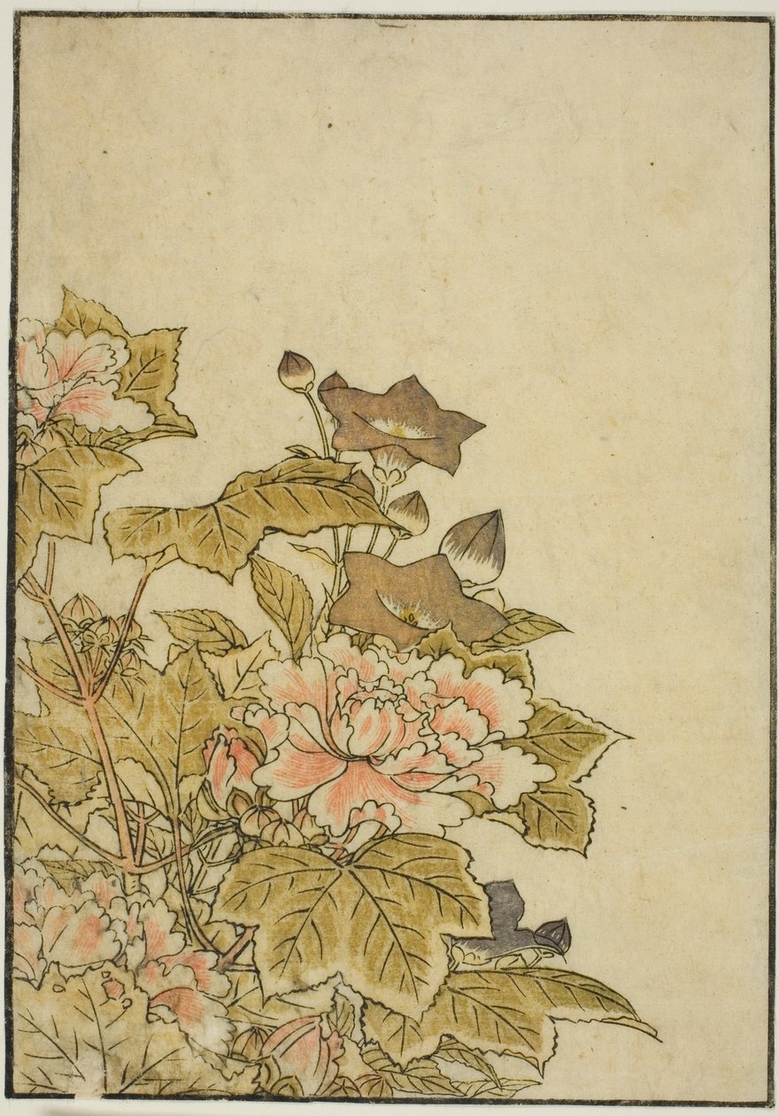 Flores de otoño: Peonías y campanillas, del libro "Espejo de mujeres hermosas de los barrios de placer" de Kitao Shigemasa