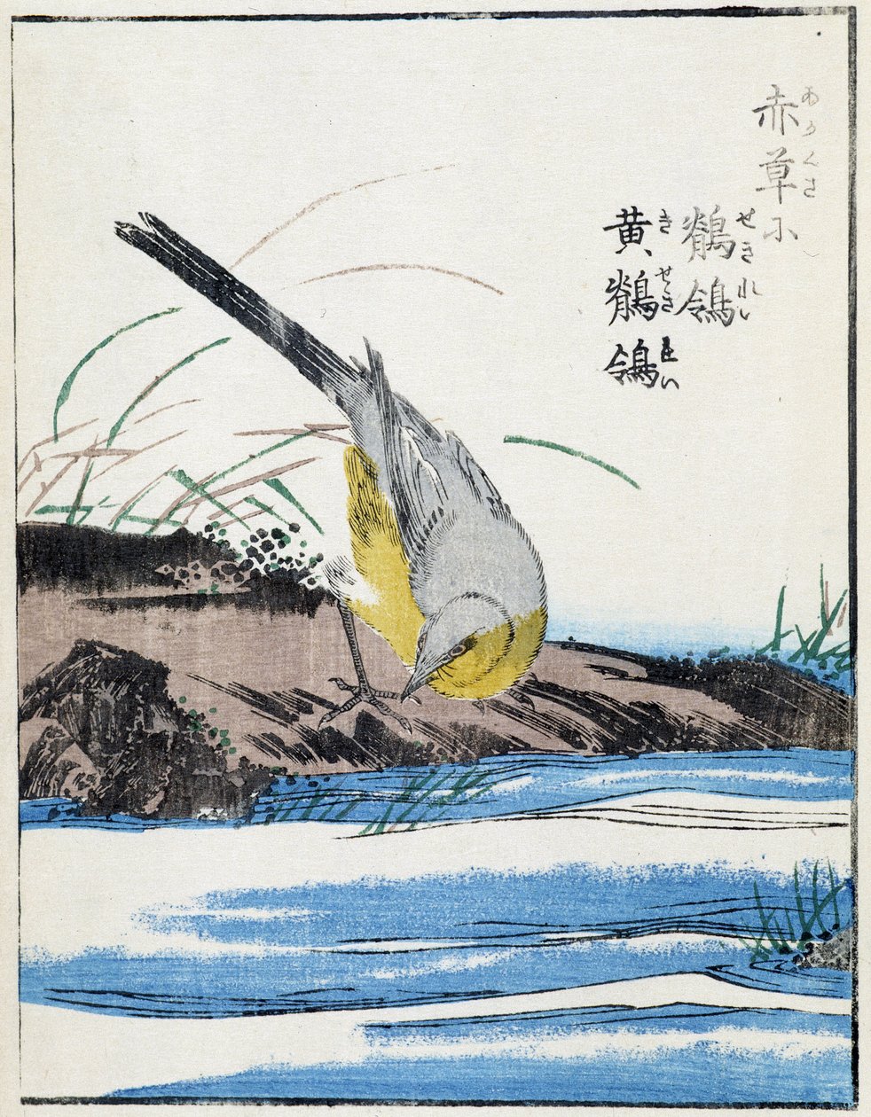 Pájaro. Dibujo japonés de Kitao Kosuisai de Kitao Shigemasa