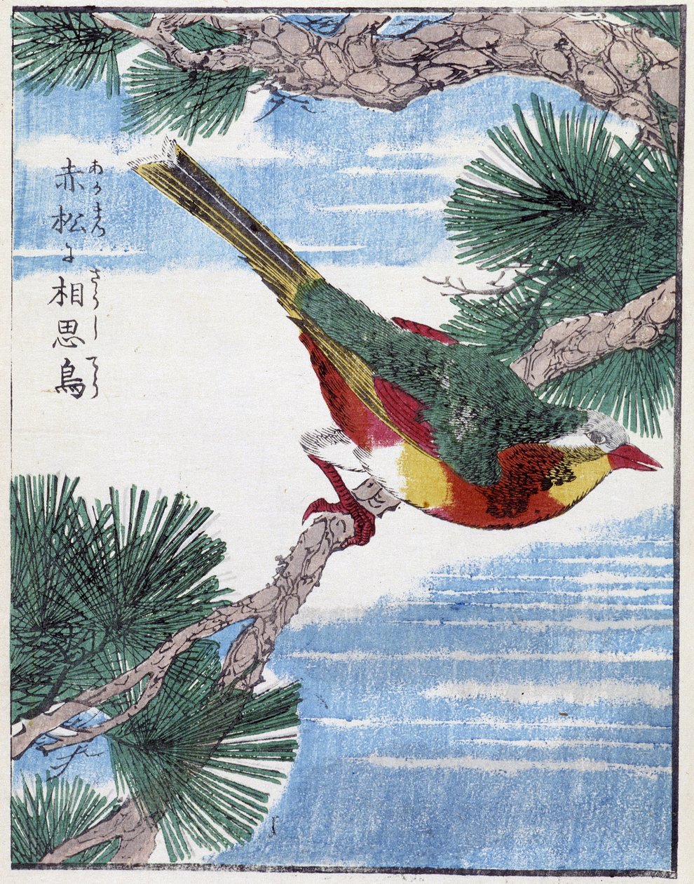 Pájaro en un árbol. Dibujo japonés de Kitao Kosuisai de Kitao Shigemasa