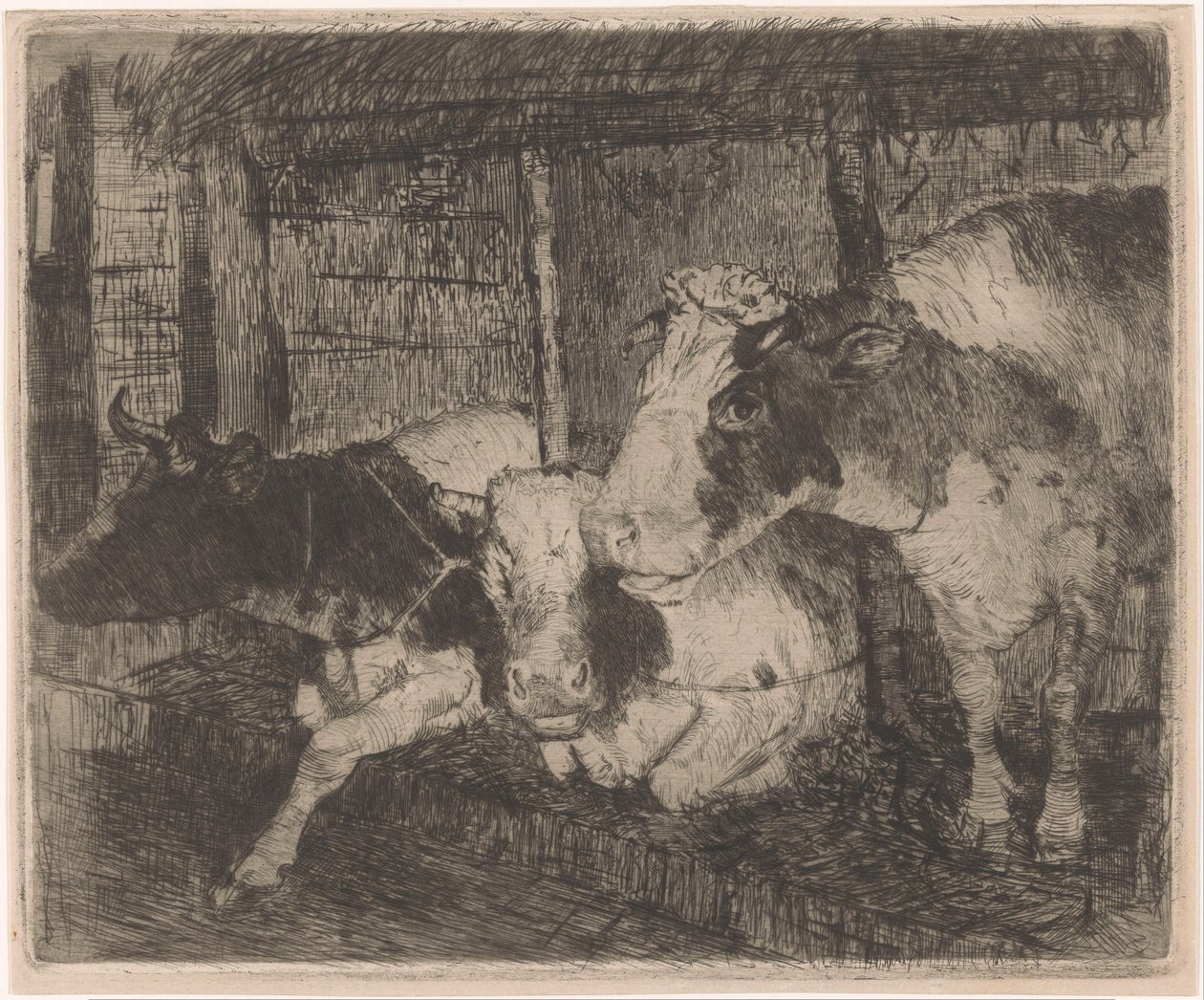 Establo con tres vacas de Klaas van Leeuwen