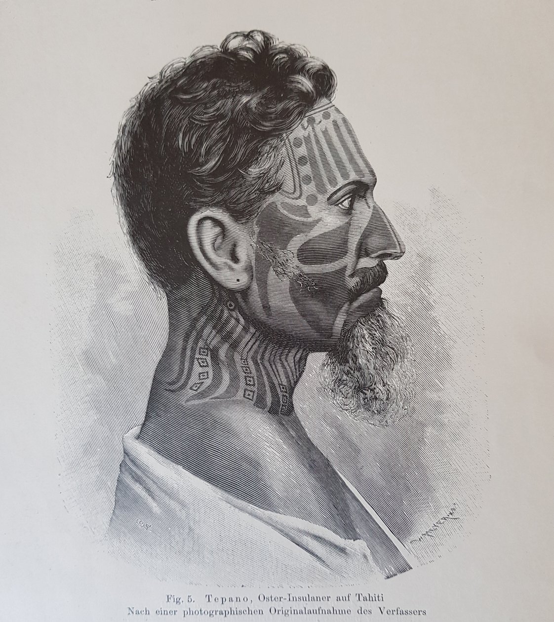 Juan Tepano, ilustración de 