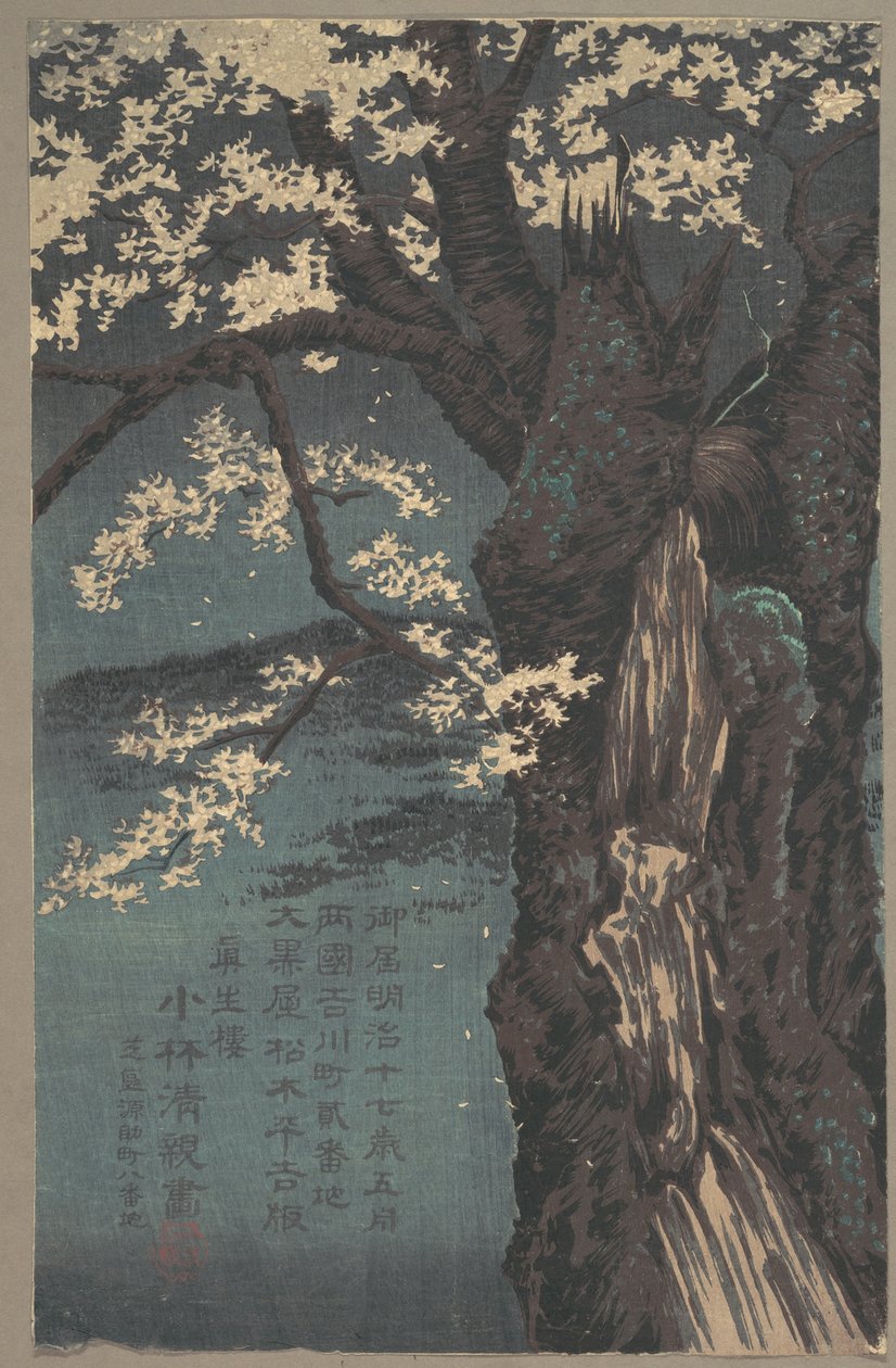 Cerezo de Kobayashi Kiyochika