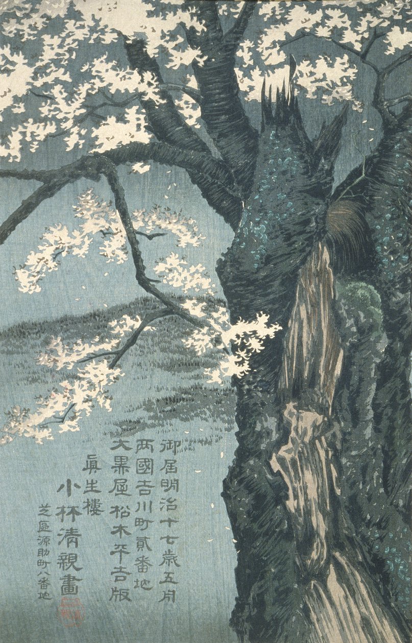 El guerrero Taira no Tadanori a punto de dormir bajo un cerezo de Kobayashi Kiyochika