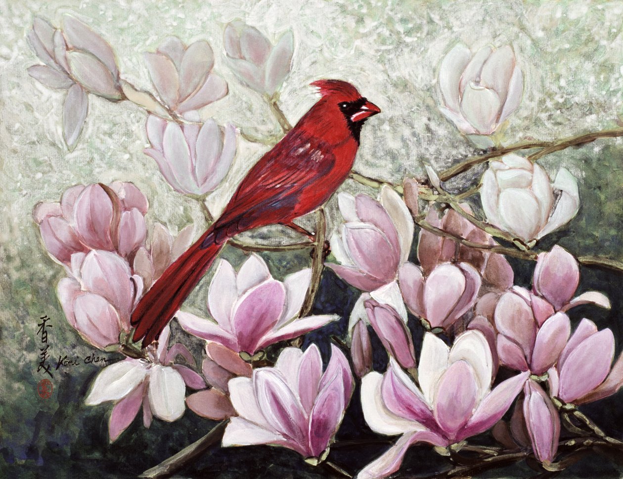 Cardenal de Komi Chen