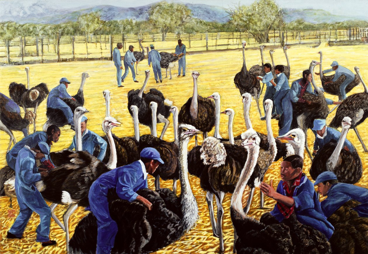 Granja de Avestruces de Komi Chen