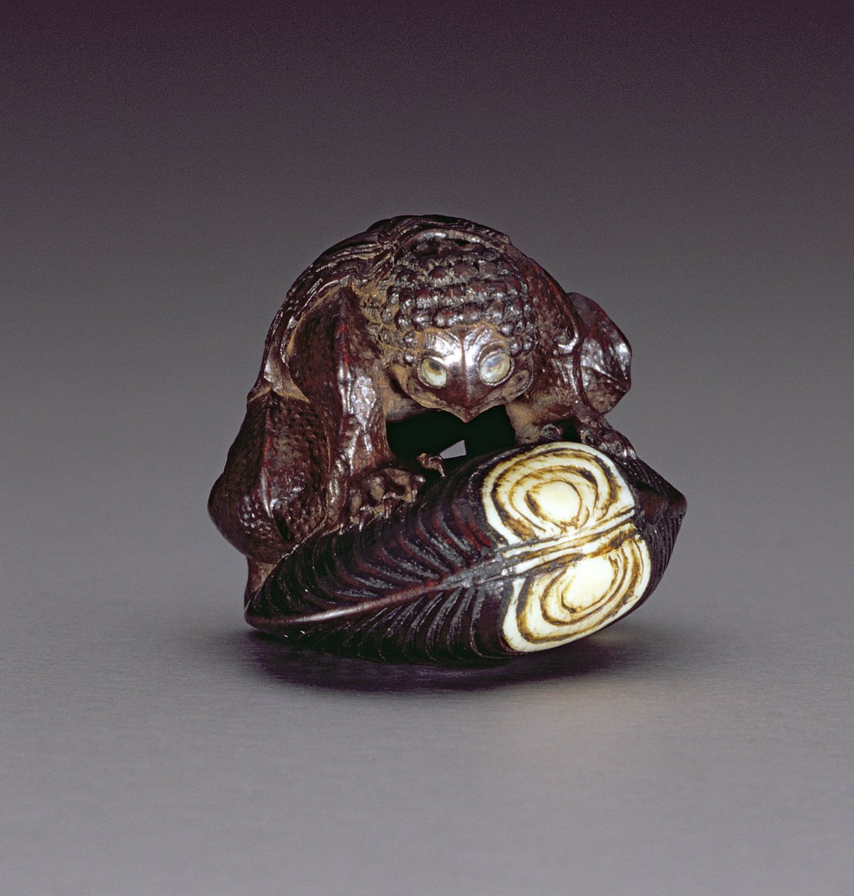 Netsuke que representa un kappa agachado sobre una concha, 1860-80 de Komin
