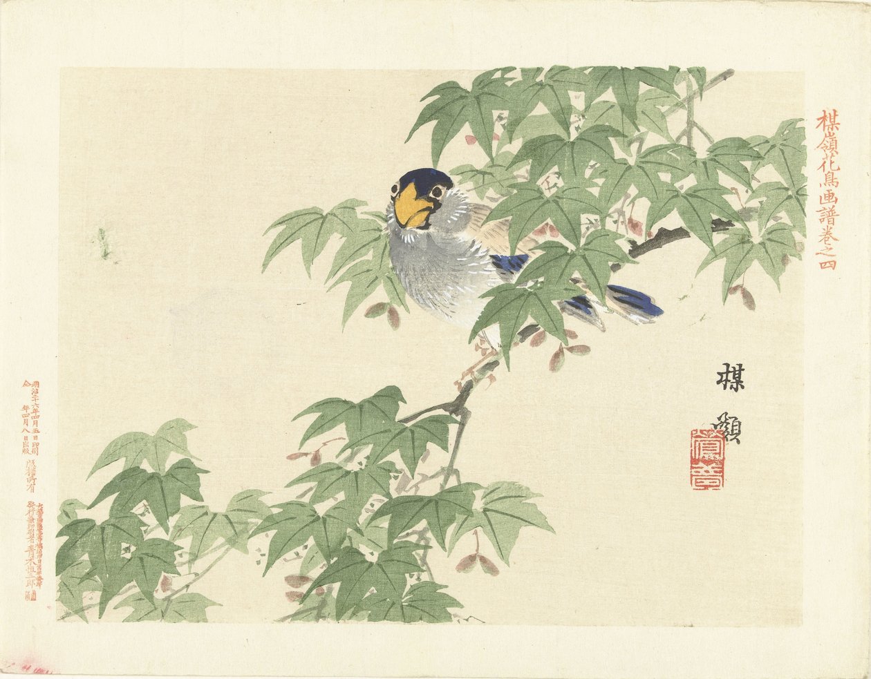 pájaro azul grisáceo Bosquejos de flores y pájaros de Bairei (título de la serie) Barei kacho gafu (título de la serie sobre el objeto) de Kono Bairei