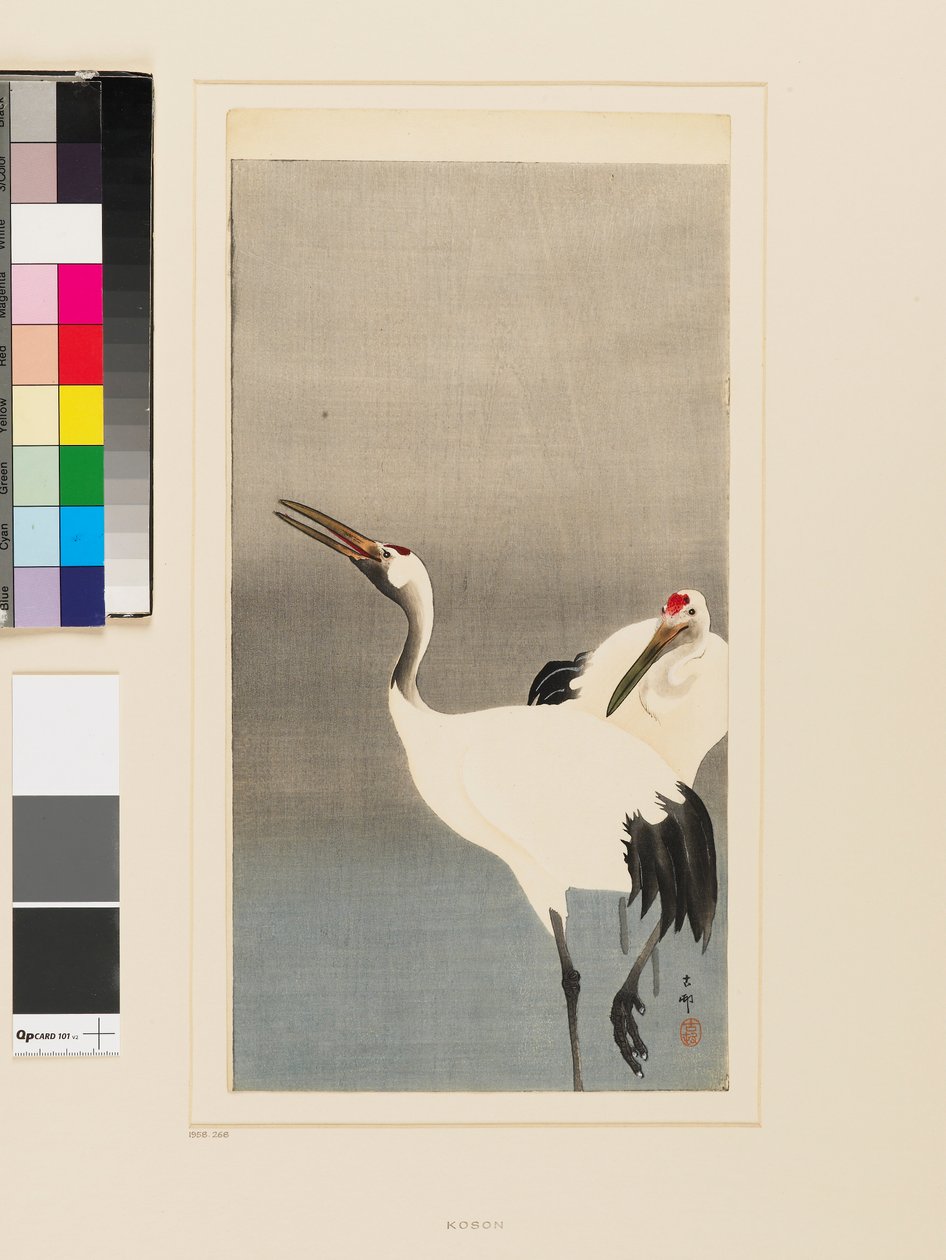 Dos grullas japonesas vadeando un estanque de Koson Ohara