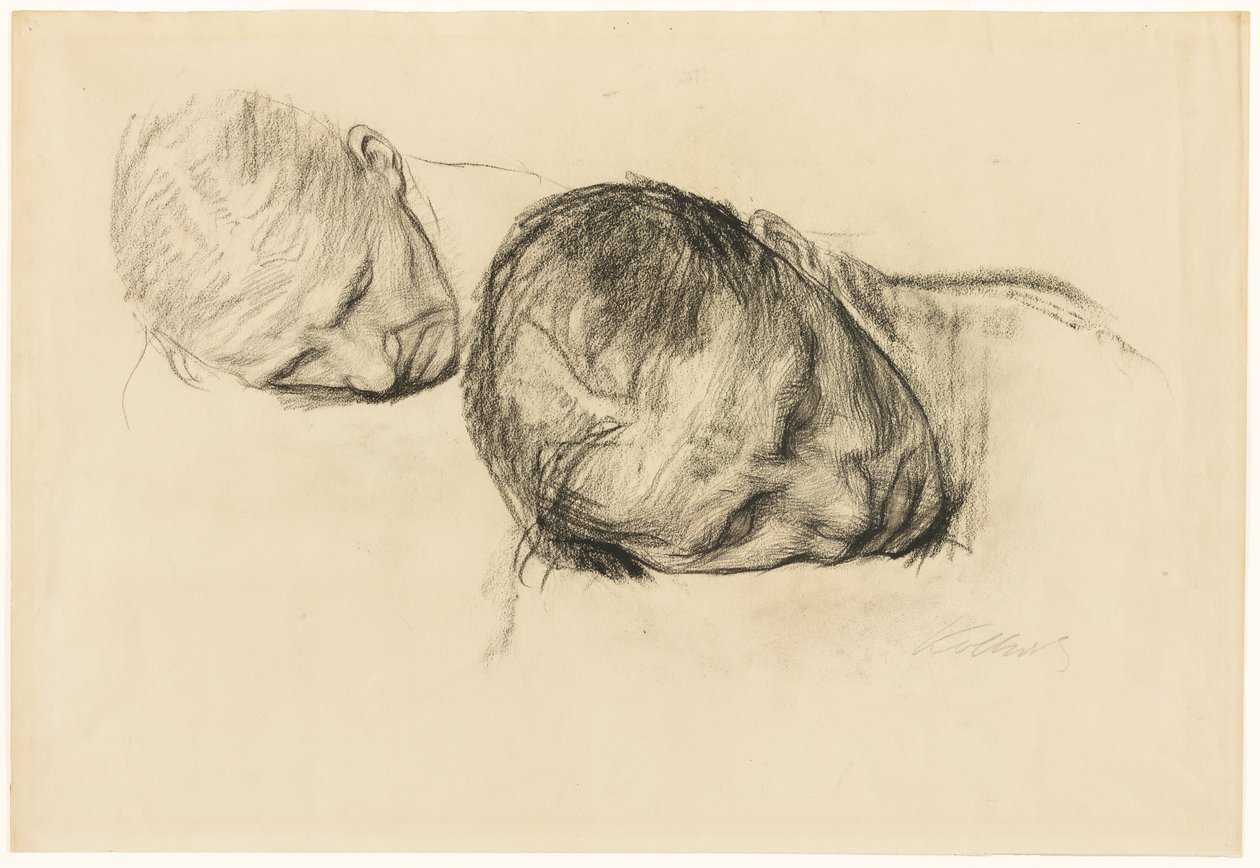 Dos estudios de la cabeza de una mujer de Käthe Kollwitz