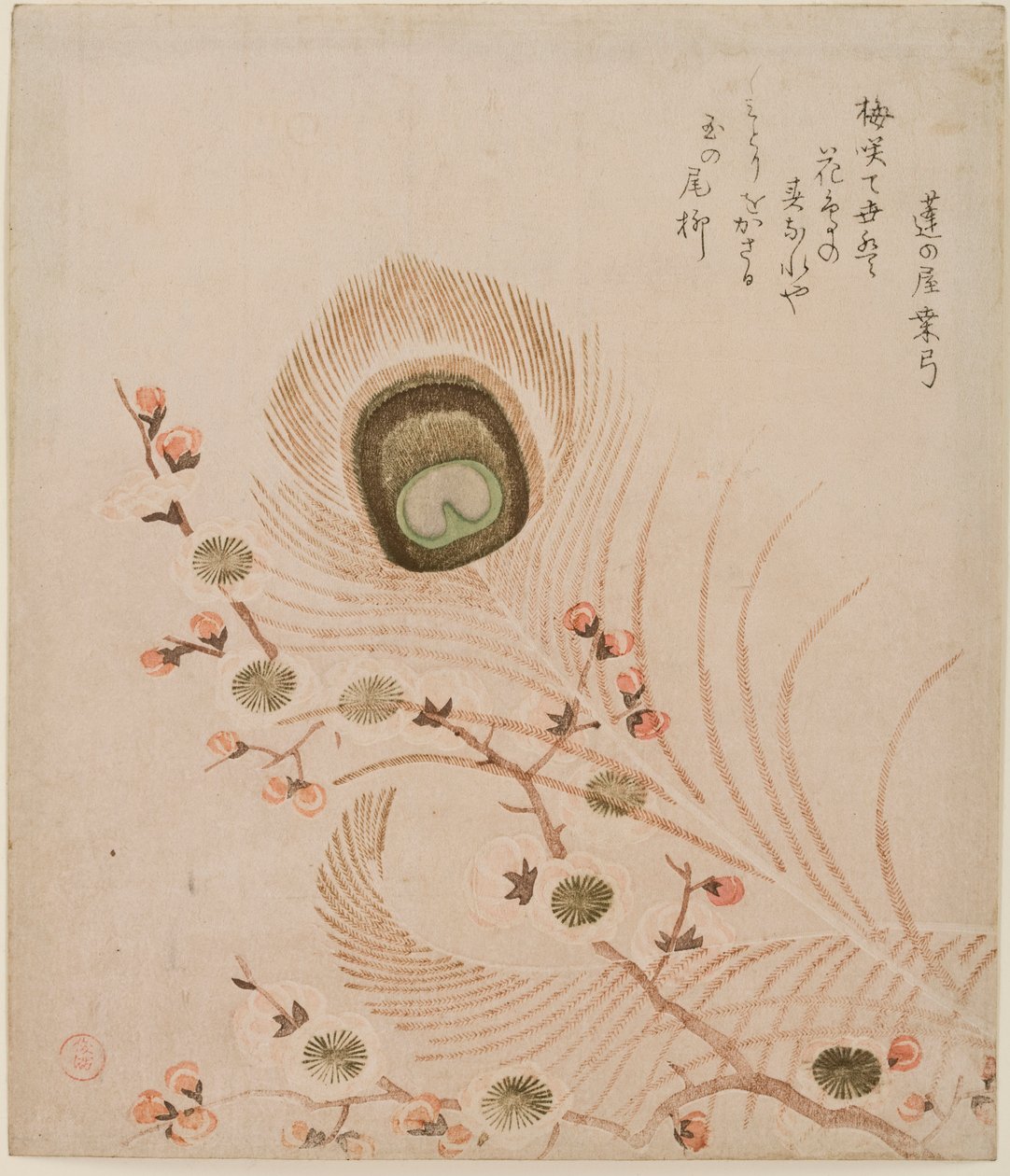 Rama de ciruelo y plumas de pavo real, mediados a finales de 1810s de Kubo Shumman