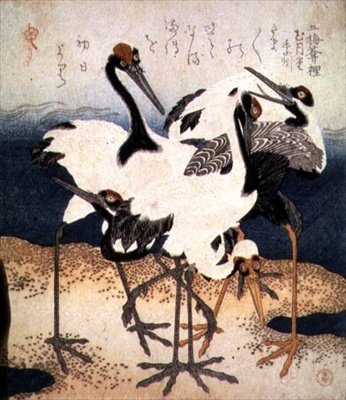 Cinco grullas con plumas blancas en varias poses sobre un banco de arena, de la serie Tres Pétalos, c.1816 de Kubo Shumman