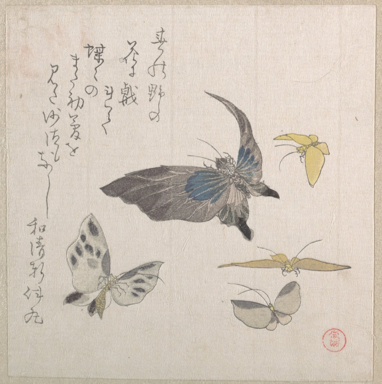 Mariposas de Kubo Shunman
