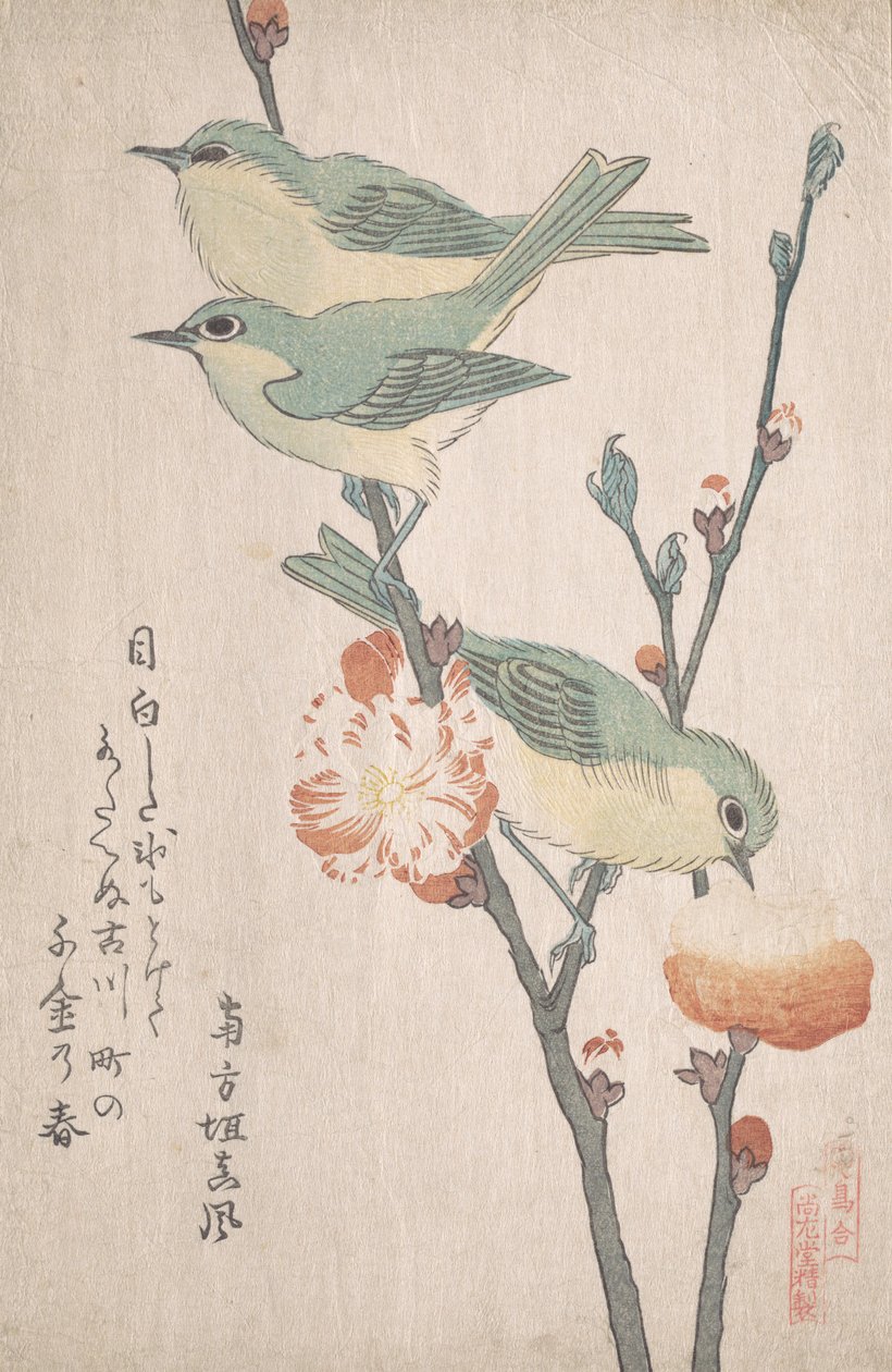 Ojos blancos japoneses en una rama de durazno, ca. 1805-10 de Kubo Shunman