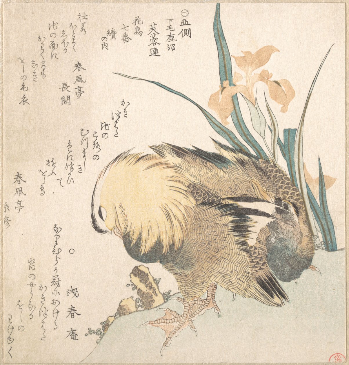 Pareja de patos mandarines y flores de iris de Kubo Shunman