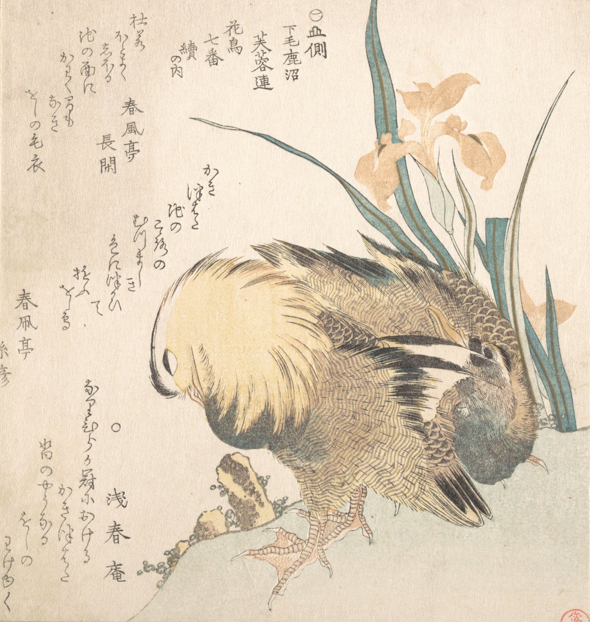 Pareja de patos mandarines y flores de iris, finales del siglo XVIII-principios del siglo XIX de Kubo Shunman