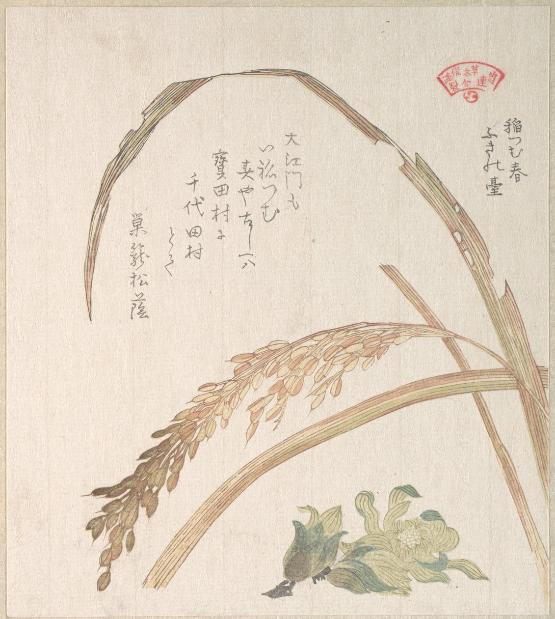 Planta de arroz y cardos de Kubo Shunman