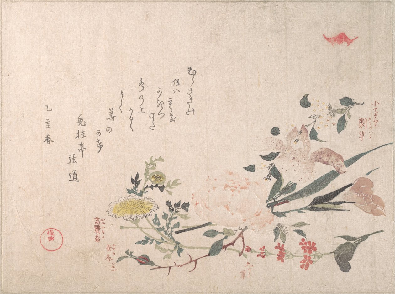 Rosa, iris, prímula y margarita de Kubo Shunman