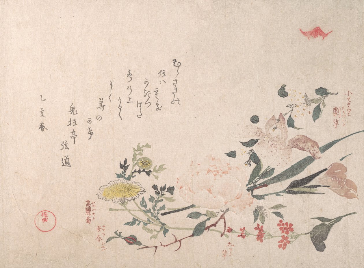 Rosa, Iris, Primavera y Margarita, 1815 de Kubo Shunman