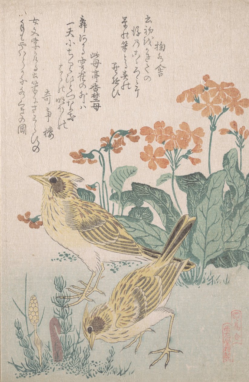 Alondras y prímulas..., ca. 1805-10 de Kubo Shunman