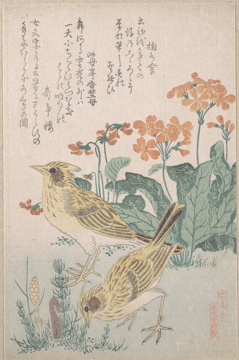 «Alondras y prímulas», de la serie «Una variedad de aves» (Tori awase), del álbum de surimono «Lluvia de primavera» (Harusame surimono-jō, vol. 3) de Kubo Shunman