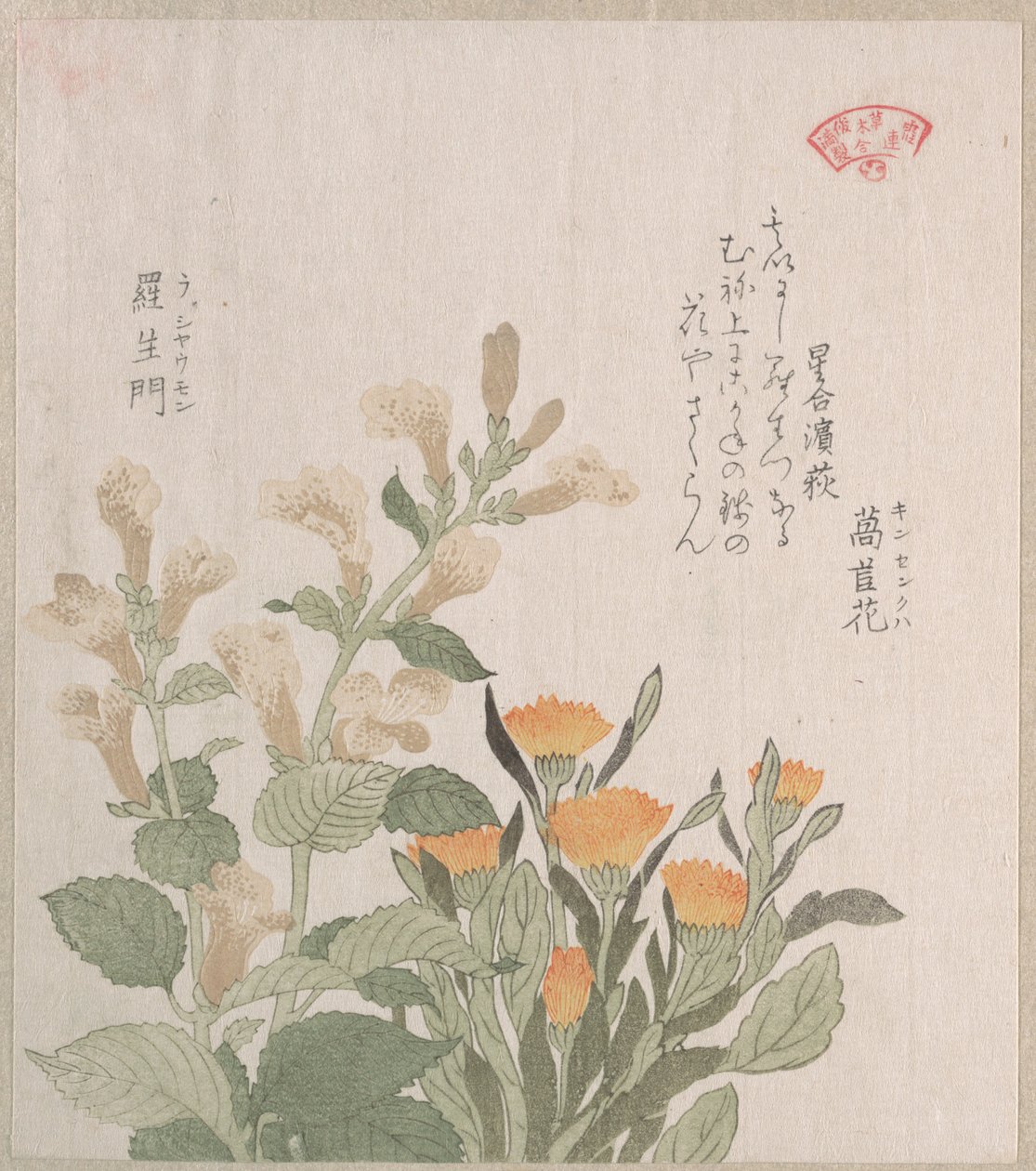 La caléndula común y las flores de Rajoman de Kubo Shunman