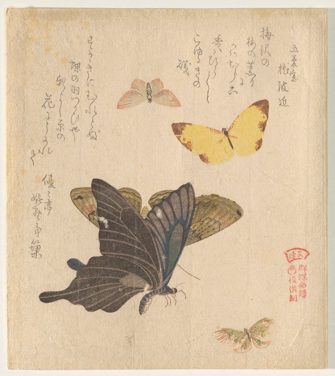 El manual de pintura de bandada de mariposas (Guncho? Gafu) de Kubo Shunman