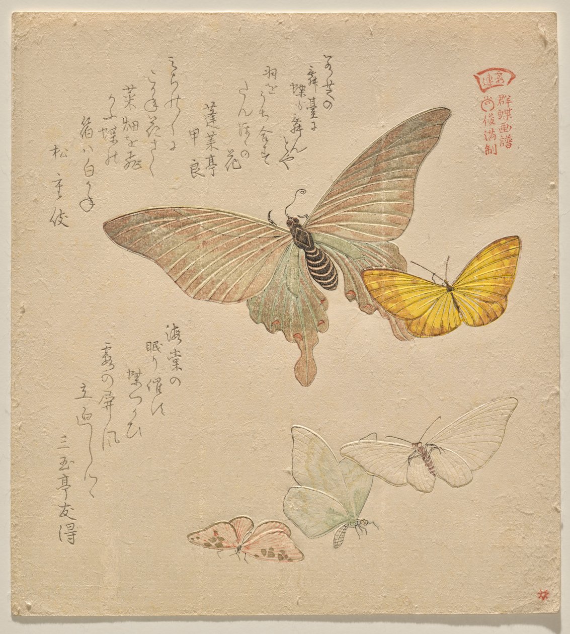 El manual de pintura de bandada de mariposas (Guncho? Gafu) de Kubo Shunman