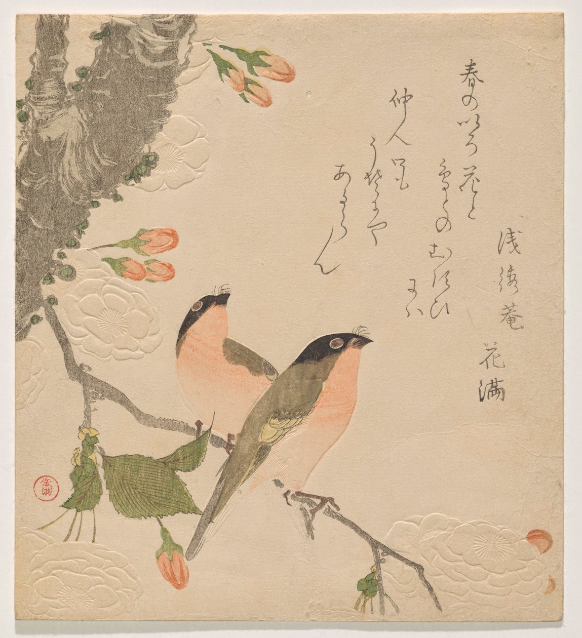 Dos camachuelos en un cerezo de doble pétalo (Uso ni Yae-zakura) de Kubo Shunman