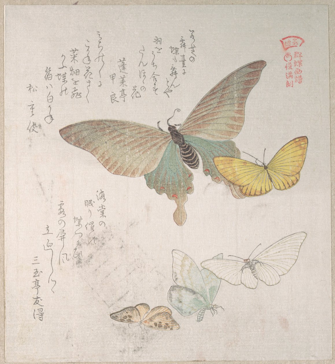 Diversas polillas y mariposas de Kubo Shunman