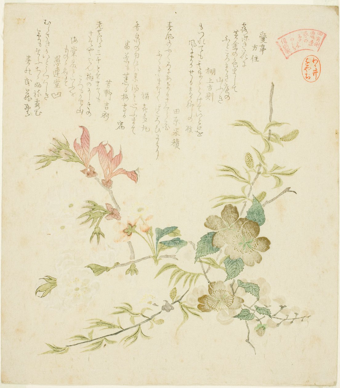 Varias flores de primavera, de la serie "Plantas y árboles de primavera para el círculo de poesía Kasumi del grupo Yomo" de Kubo Shunman