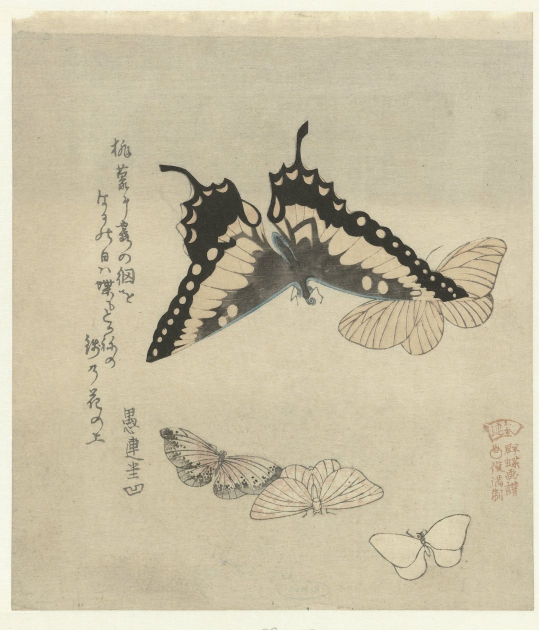 cinco mariposas Una serie de grabados con mariposas para la Kasumi Poetry Society (título de la serie) Kasumiren gunchô gafu (título de la serie sobre el objeto) de Kubota Shunman