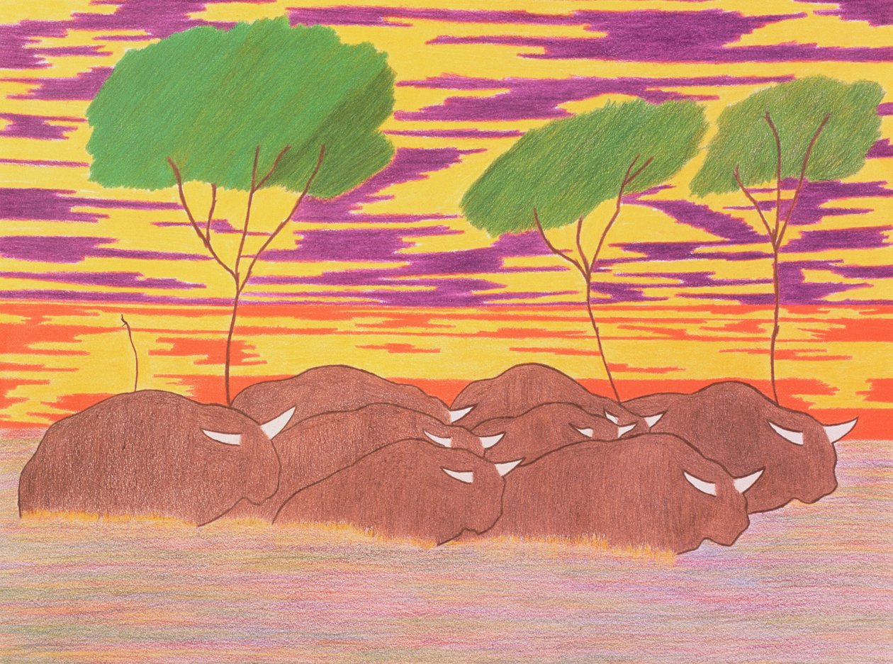 Marcha del búfalo de agua, 2004 (lápiz de color sobre papel) de Kurtis L. Miller